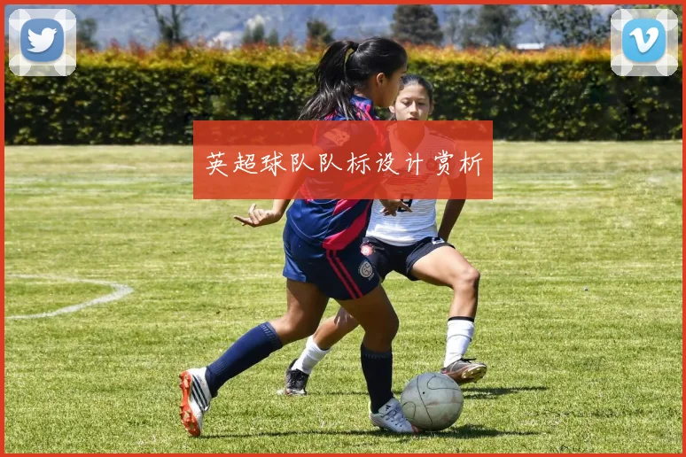 英超球队队标设计赏析