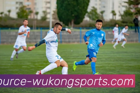 悟空体育品牌故事